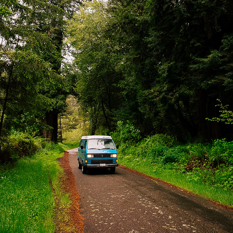 Blue Bus in the road